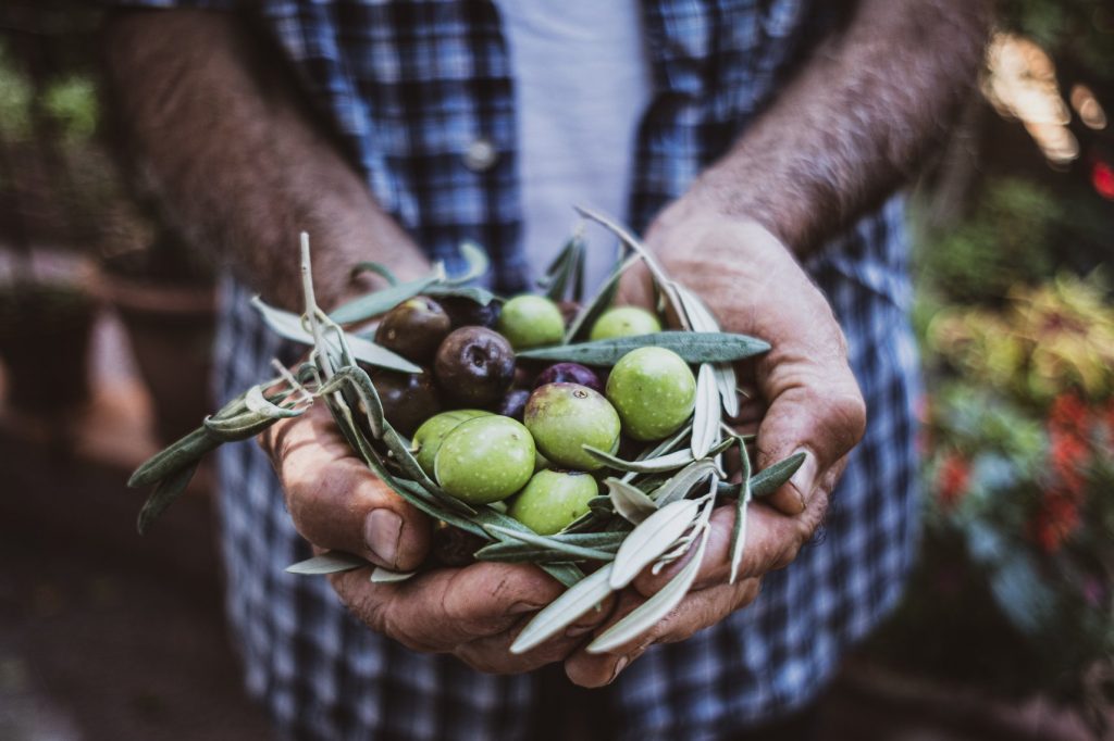 peasant-with-Sicilian-olives-in-hand