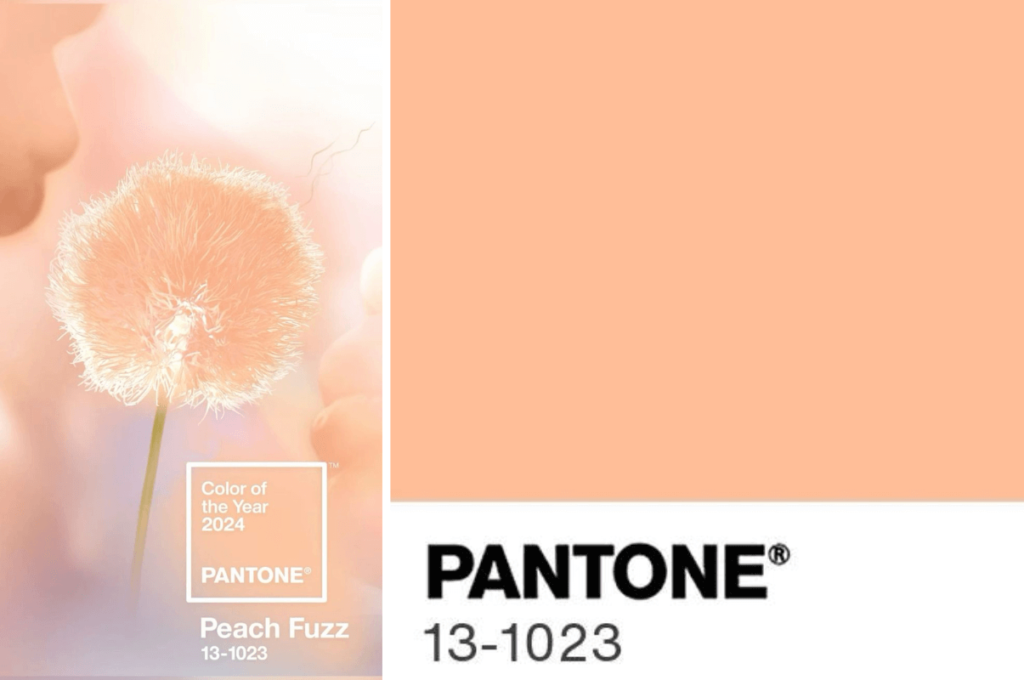 Peach-Fizz-Color-of-the-year-2024