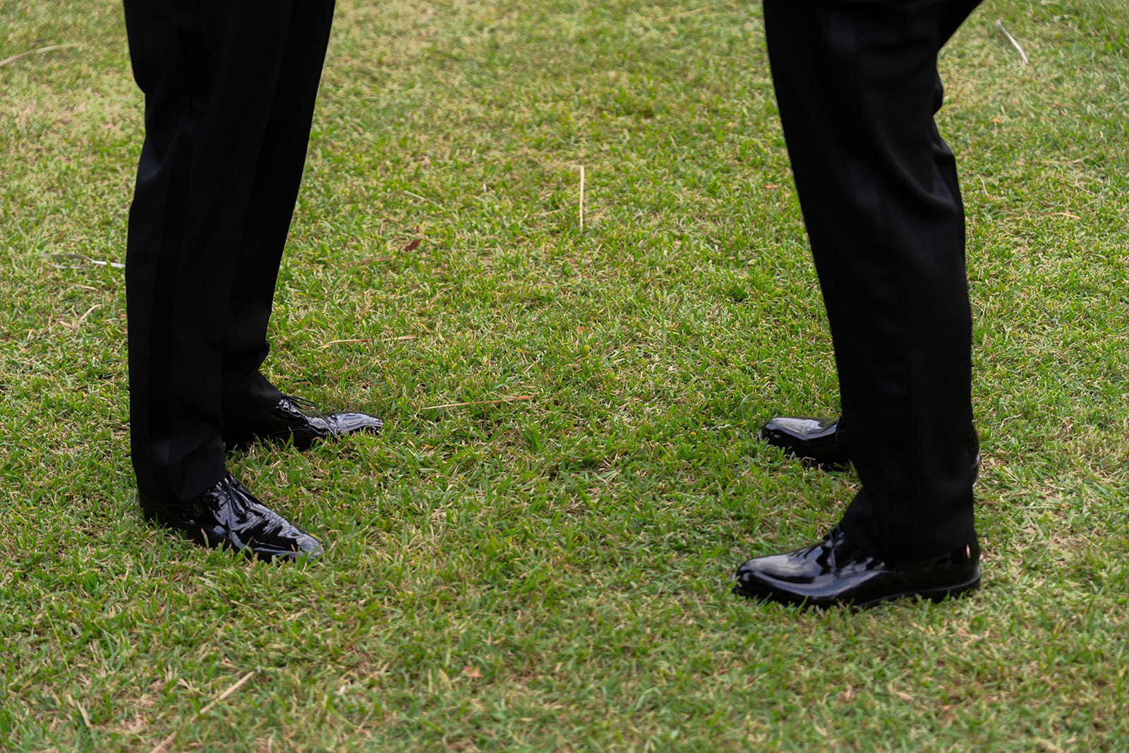 feet with shoes of the bride and groom on the lawn; same sex wedding ceremony