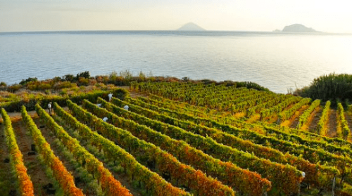 Aeolian Islands wedding 3